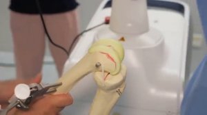 100 Часов В Китайском Городе Роботов.