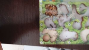 обзор на мою муравьиную ферму