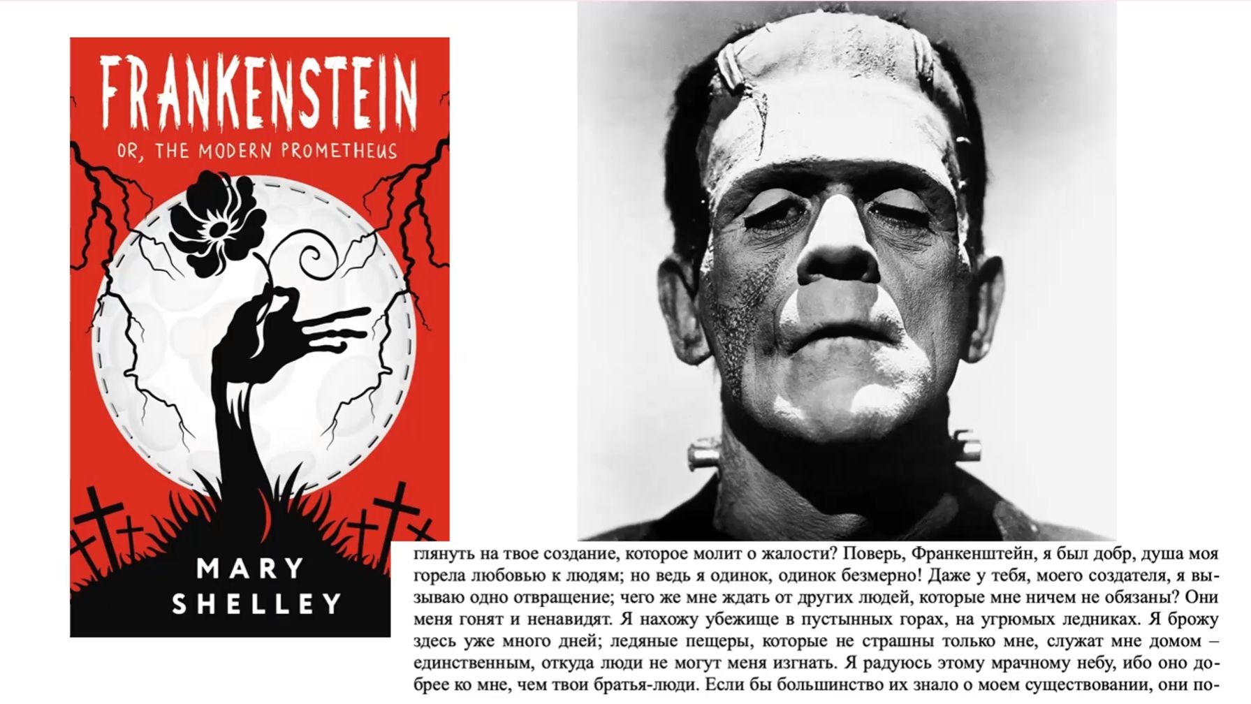 Монструозность бессмертия: Франкенштейн и Дракула в культурном воображении (ЛизаветаЧащевая)