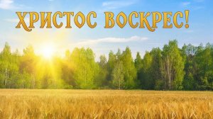 ✍️ Поэзия. Стихотворение "Земля и солнце..." Л.Чарская