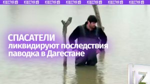 Спасатели продолжают ликвидацию последствий дождевого паводка в Дагестане