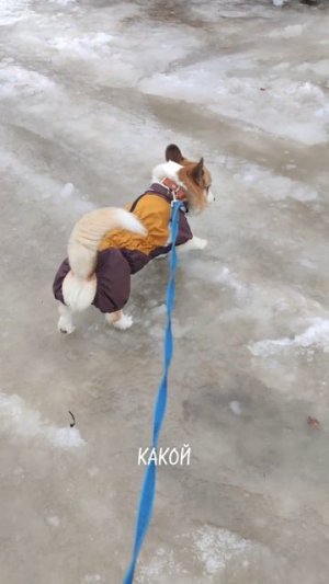 ветренные погодные условия