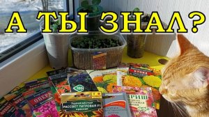 ЭТИ ЦВЕТОЧКИ сеем в АПРЕЛЕ 🌻🌻🌻Первые работы с цветами в саду🔥🔥🔥