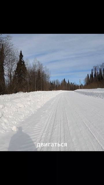 «Выживание в белом аду»