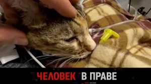 «Человек в праве» с Андреем Куницыным. Выпуск от 12 апреля 2026 года