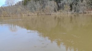 Половодье на Уфе.12.04.26