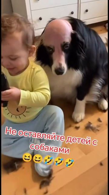 как у вас дела?!