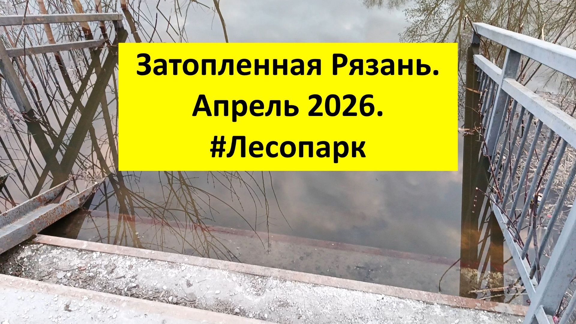 Затопленная Рязань. Разлив. #Лесопарк #ПодМостом #Ока #Разлив