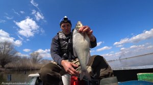 ЭТО ЖОР ЛЕЩА КАКОЙ-ТО, ГНЁТ СТОРОЖКИ НА ЗАКИДУШКАХ. Рыбалка на воблу, ловля на закидушку с подпуском