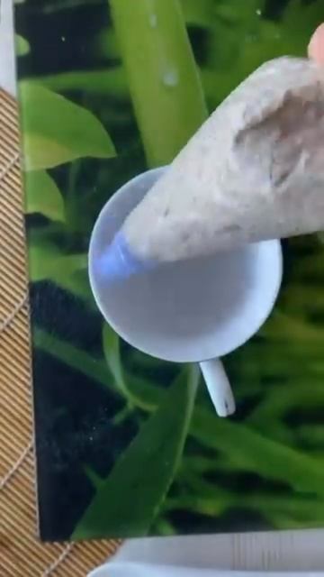 🌿Оригинальная Закуска к празднику 🌿