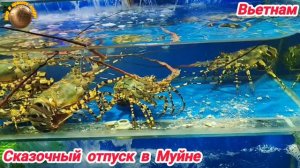 Вьетнам. Очарование и экзотика Муйне.