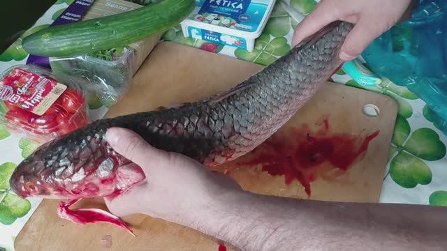 Кефаль.Салат из фетакса сыр руккола чери огурец.