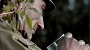 Александр Розенбаум -  Черный тюльпан