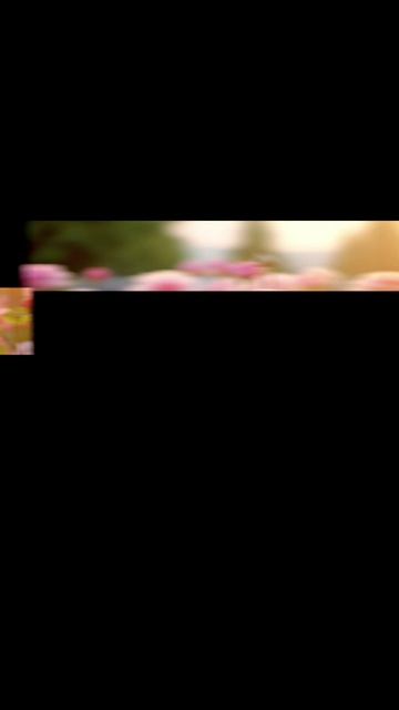 Цветы.Релакс.