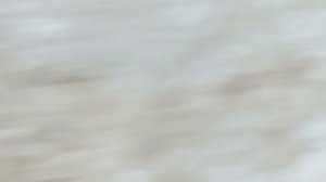 состояние винограда на 12 апреля.