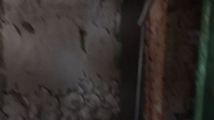 Зубастики пробежали по квартире