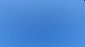 12.04.26 г. Андижанская порода голубей (2)