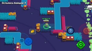 Апнул на Максе 600 кубков в бс.