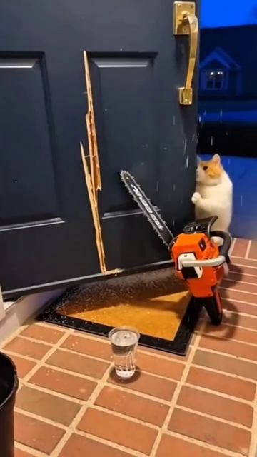 Как можно домой попасть