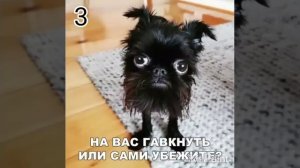 выберите мне аву🙂