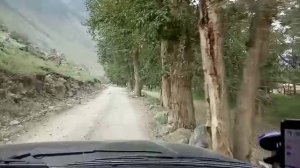 После Кату Ярыка нам всё пофиг!