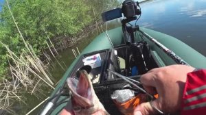 Такого не ожидала!Щука слопала мормышку