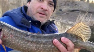 Большая щука, караси и окуни... Рыбалка удалась!!!