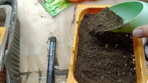 Сею капусту быстро . Для продажи  рассадой