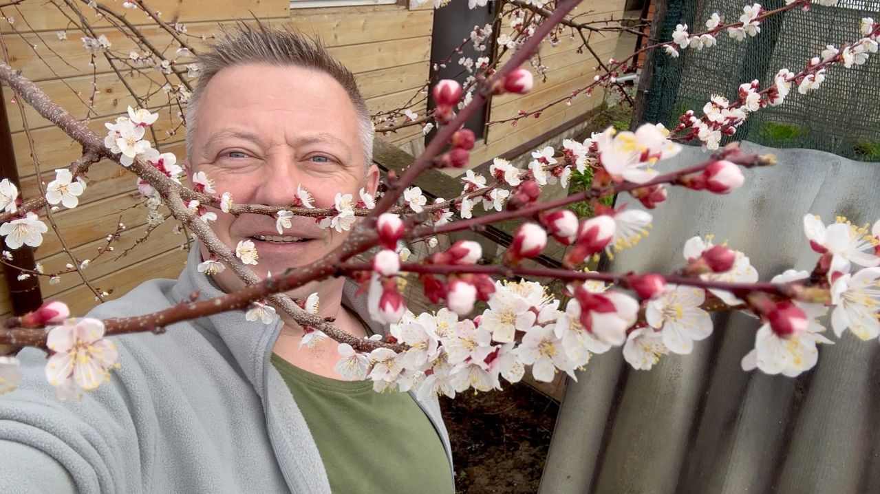 Жизнь вне орхидей- приятный СЮРПРИЗ от которого хотел ИЗБАВИТЬСЯ  праздничный обзор что ВЫЖИЛО