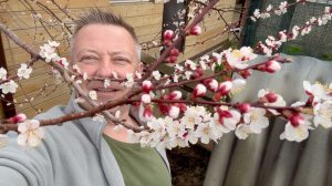 Жизнь вне орхидей- приятный СЮРПРИЗ от которого хотел ИЗБАВИТЬСЯ  праздничный обзор что ВЫЖИЛО