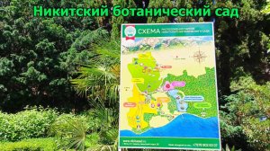 ВС Ялта 2025 г 5 серия ( Никитский ботанический сад)