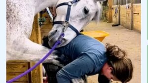 Животные Учат, что Любовь - Это То, Что делает Жизнь Полной