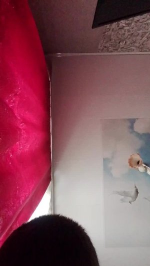 прохожу фнф