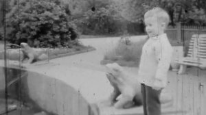 Вася и Петя