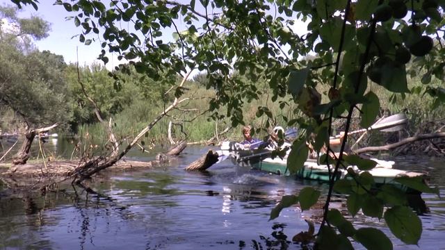 Свапа - Сейм 2014  30.07-3.08.14