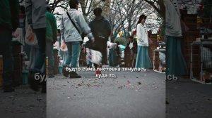 краткий пересказ фильма