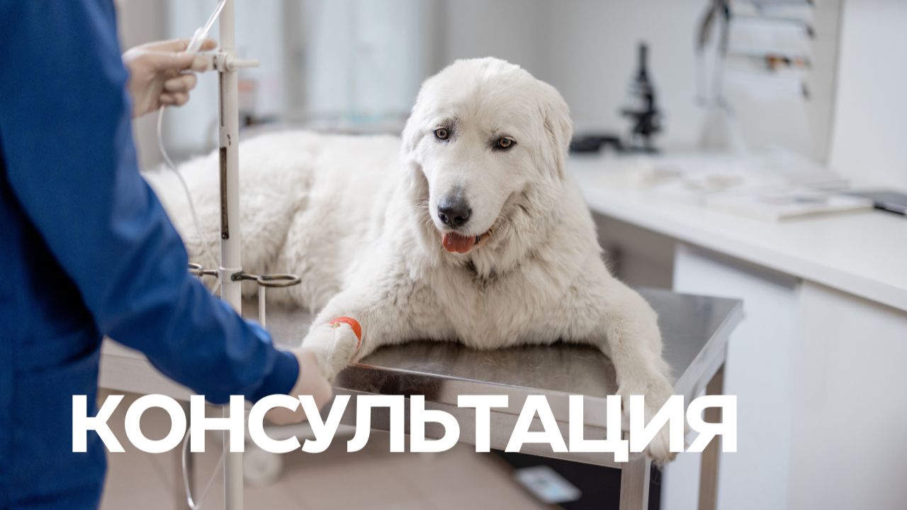 Банк крови животных БИОТА