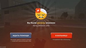 DM - во время задержания преступника / Black Russia (46)