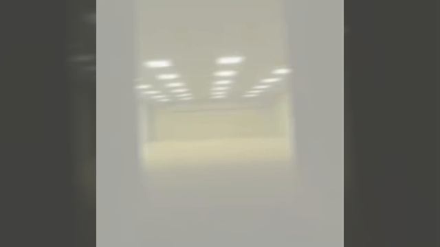 закулисьеbackrooms Эдит LAST CHANCE FUNK