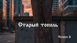 Старый тополь