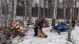 ТАЁЖНАЯ ЖИЗНЬ. НОЧЁВКА В ПАЛАТКЕ. РЫБАЛКА В ГЛУШИ. ПОЙМАЛИ ТРОФЕЙ НА ЖЕРЛИЦУ. ОЗЕРО НЕ ТАК ПРОСТО.