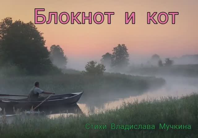 Блокнот и кот