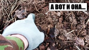 ВЫПАЛА ИМПЕРИЯ! ПЕРВЫЙ ВЫЕЗД В ПОЛЯ.  коп 277