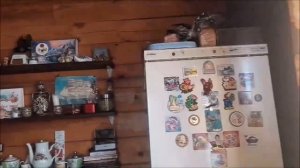 Мой Загородный🏡дом в🌲Сибири/В доме🏡 генеральная🧼уборка - мою окна/Крашенки 2026 #рек #video