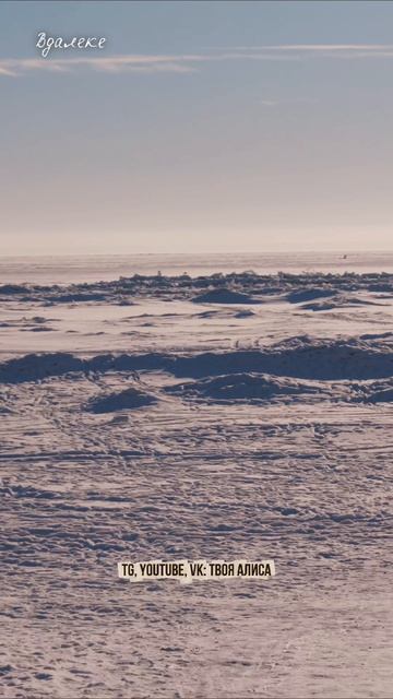 Февральская семейная история в уютном домике🏡
Приглашаю в мини‑путешествие в посёлок Песочное — за о