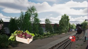 TSW6 373 ящика  свёклы  #tsw6