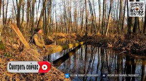 Строю секретную бревенчатую хижину на болоте Без каких-либо электроинструментов