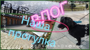 ВЛОГ‼️ НАША ПРОГУЛКА, ОТДЫХ‼️