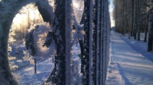 М. Цветаева. Ошибка