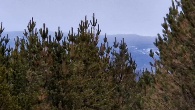 Лапкина находка!